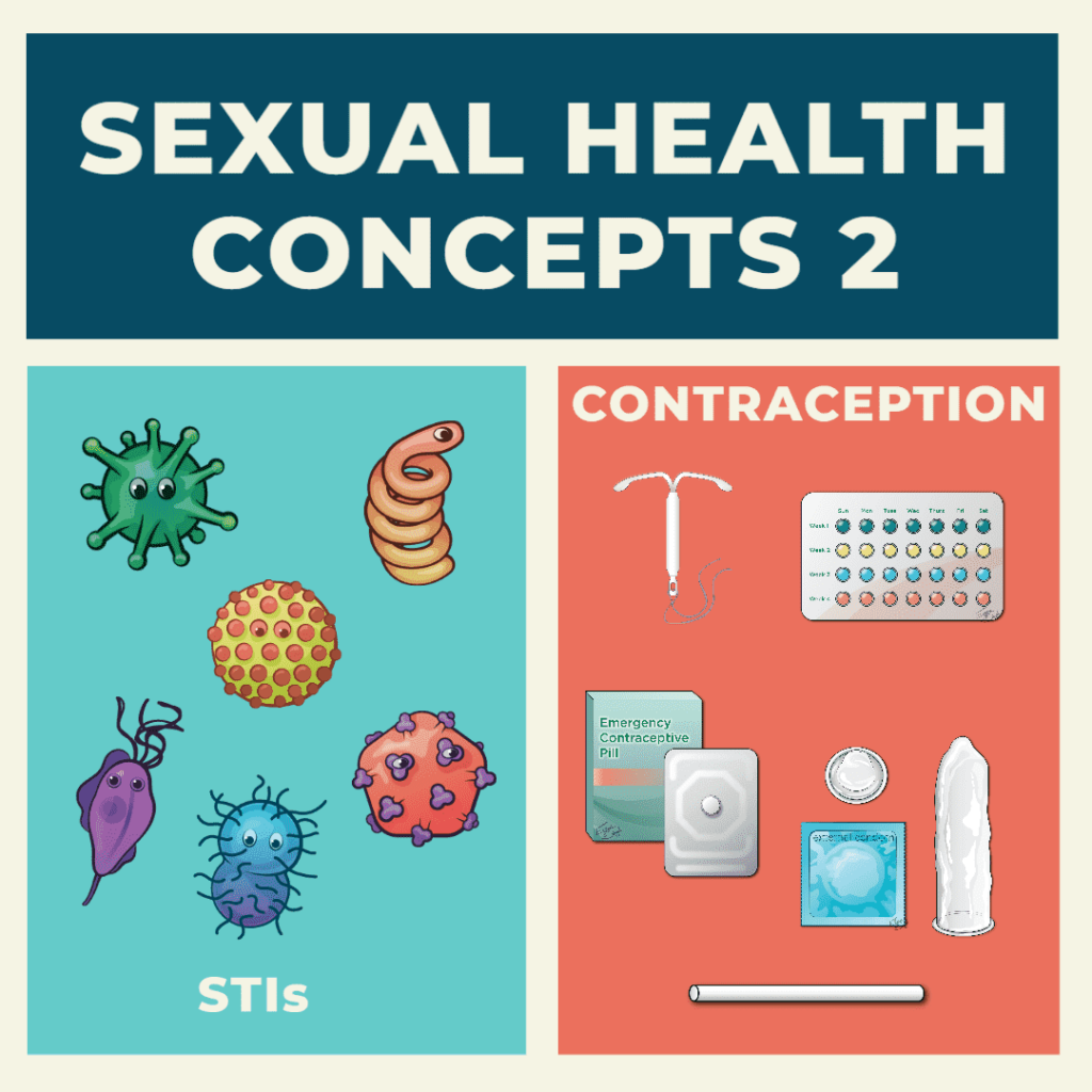 There are two groups of images. The first one represents STIs, which are bacteria that represent each of the STIs. In the second group of images, there are contraceptives, drawings of condoms, emergency pills, and the copper IUD.